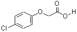 ȱY(ji)(gu)ʽ_122-88-3Y(ji)(gu)ʽ