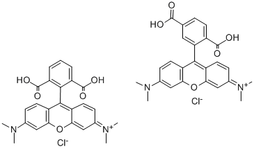 5(6)-Ȼļ׻_Y(ji)(gu)ʽ_150347-56-1Y(ji)(gu)ʽ