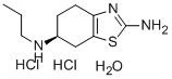 Yʽ_191217-81-9Yʽ