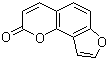 a(b)֬ؽY(ji)(gu)ʽ_523-50-2Y(ji)(gu)ʽ