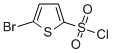 5--2-ȽY(ji)(gu)ʽ_55854-46-1Y(ji)(gu)ʽ