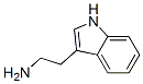 ɫY(ji)(gu)ʽ_61-54-1Y(ji)(gu)ʽ
