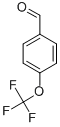 ȩYʽ_659-28-9Yʽ