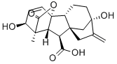 ùؽY(ji)(gu)ʽ_77-06-5Y(ji)(gu)ʽ