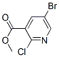 5--2-ȟY(ji)(gu)ʽ_78686-79-0Y(ji)(gu)ʽ